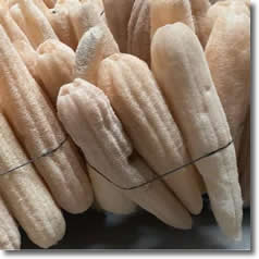 Defne Sabunu ve Lifler