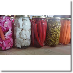 Sirke ve Turşu Çeşitleri