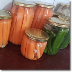 Sirke ve Turşu Çeşitleri