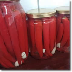 Sirke ve Turşu Çeşitleri