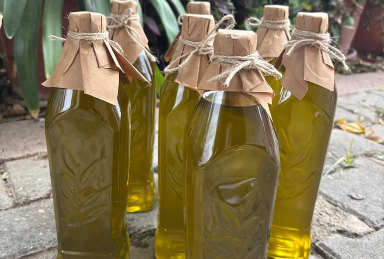 Zeytin Çeşitleri & Zeytin Yağı