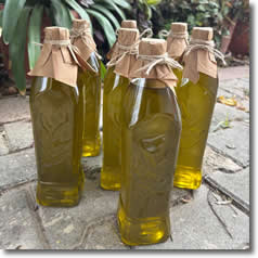 Zeytin Çeşitleri & Zeytin Yağı